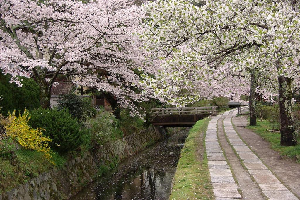 Nanako House Villa Kyoto Exteriör bild