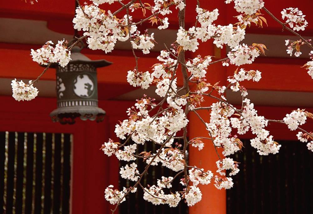 Nanako House Villa Kyoto Exteriör bild